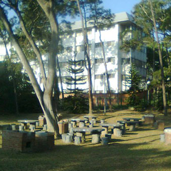 松園( 4 張相片 )